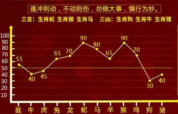 一肖一碼，探索數(shù)字與生肖的奧秘