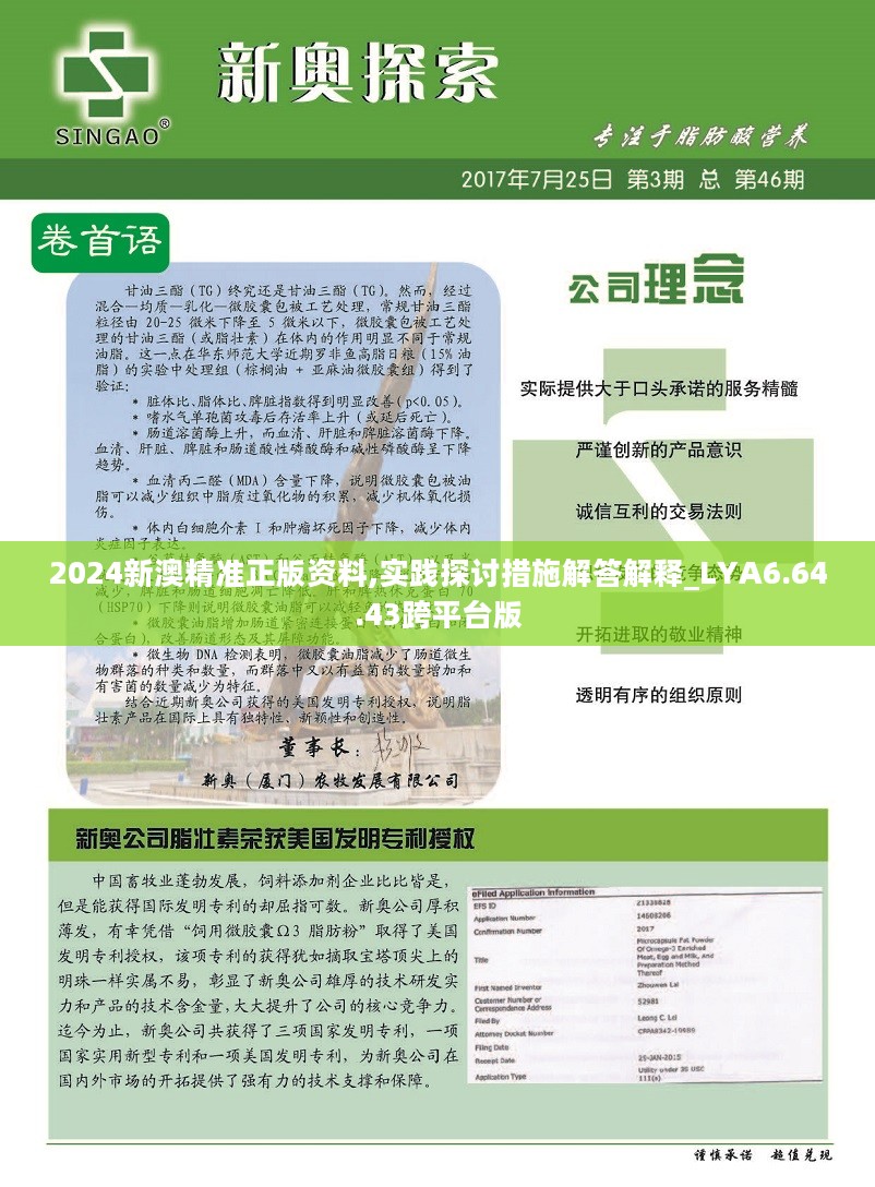 新澳2024年精準正版資料，探索未來之鑰