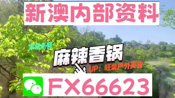 2024新澳最精準(zhǔn)資料大全詳解