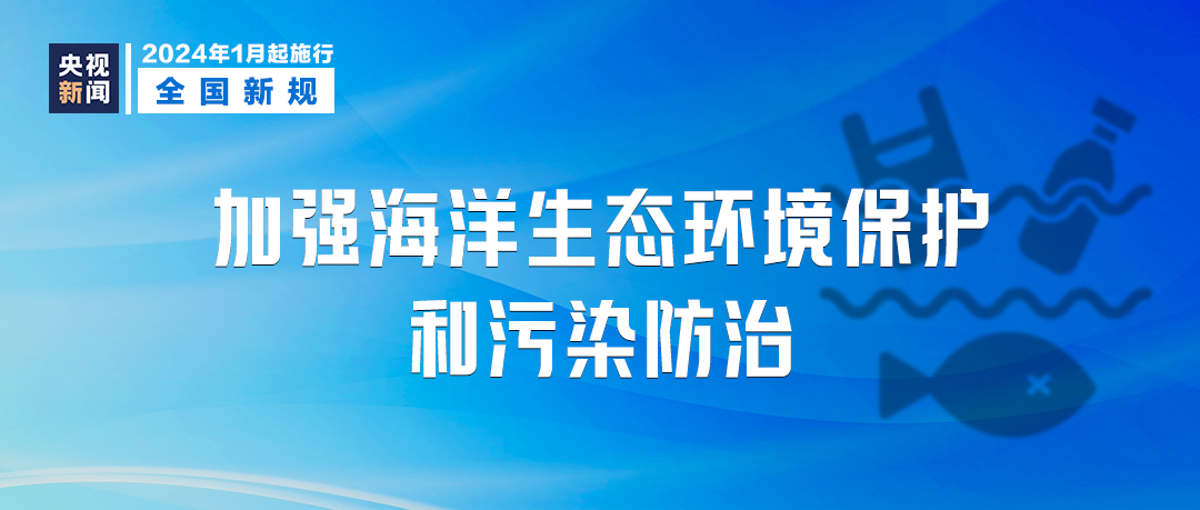 新澳2024年精準(zhǔn)正版資料與犯罪問題探討